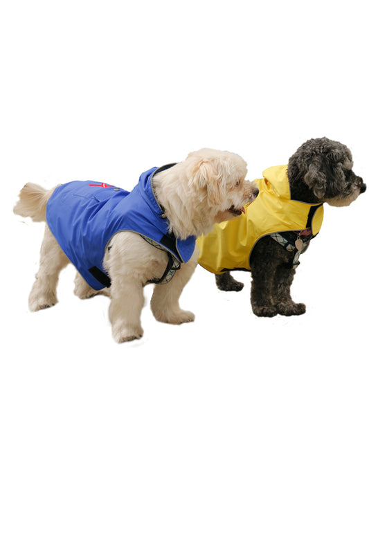 Yellow Mandi and Marley Moments Lightweight Waterproof Dog Raincoat - 100
