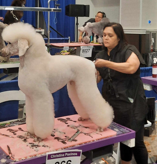 214 - Classic Black Rhinestone Half Zipper Front Stylist Water Resistant Hair Resistant and Bleach Resistant Scrub Tunic For Pet Groomers and Hair Stylists